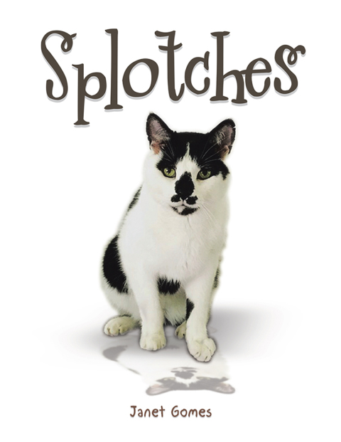 Cover image for book Splotches