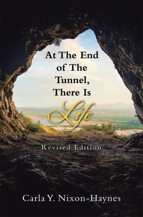 Cover image for book At the End of the Tunnel, There Is Life