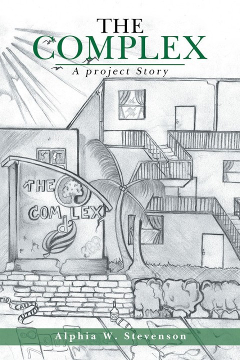 Cover image for book The Complex