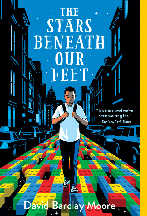 Cover image for book The Stars Beneath Our Feet