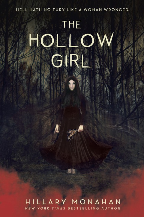 Cover image for book The Hollow Girl