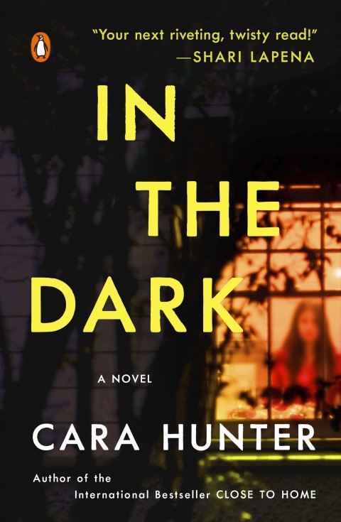 Cover image for book In the Dark