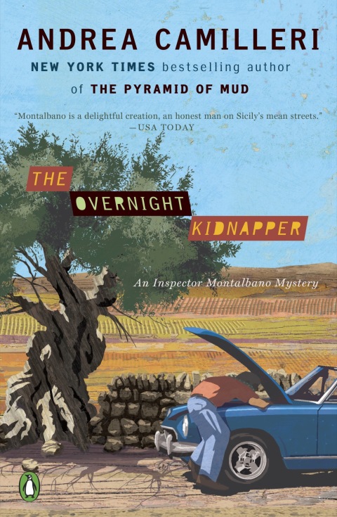 Cover image for book The Overnight Kidnapper