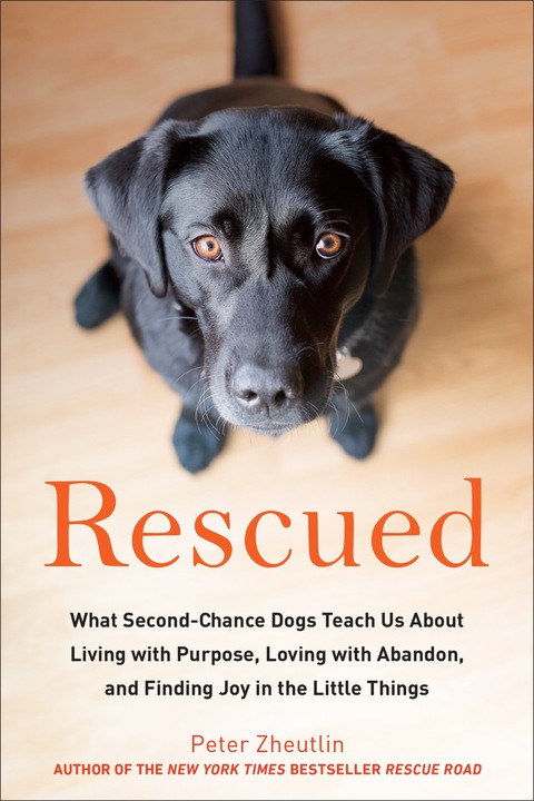 Cover image for book Rescued