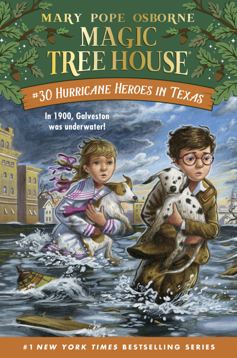 Cover image for book Hurricane Heroes in Texas