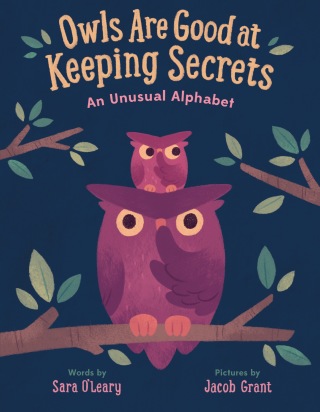 Owls are Good at Keeping Secrets