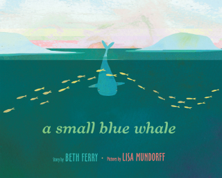 A Small Blue Whale