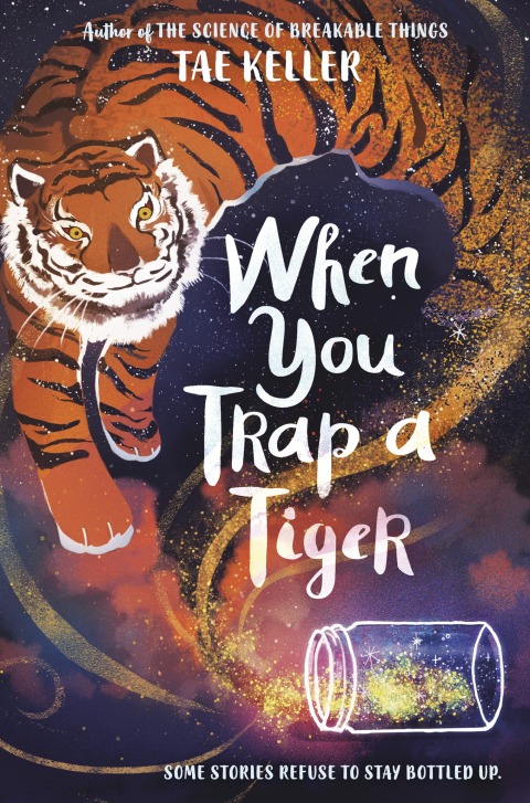 Cover image for book When You Trap a Tiger