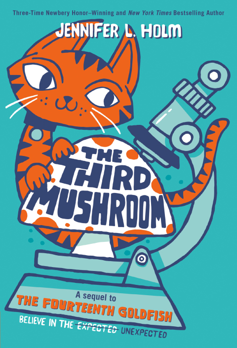 Cover image for book The Third Mushroom