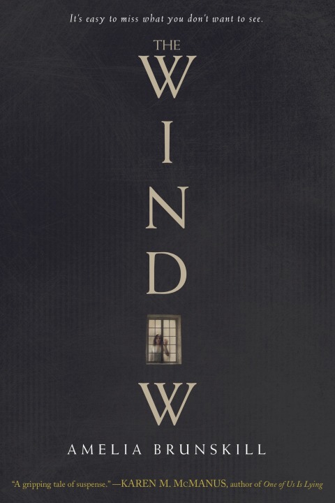 Cover image for book The Window
