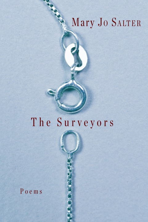 Cover image for book The Surveyors
