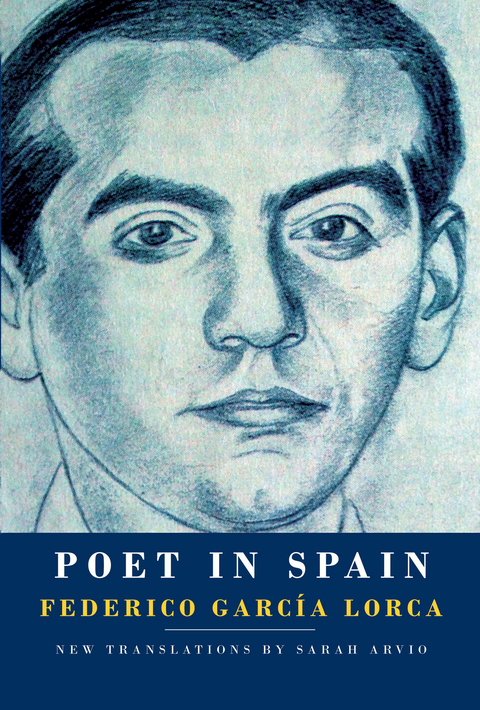 Cover image for book Poet in Spain