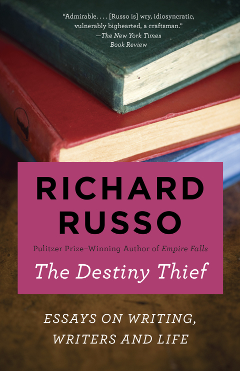 Cover image for book The Destiny Thief