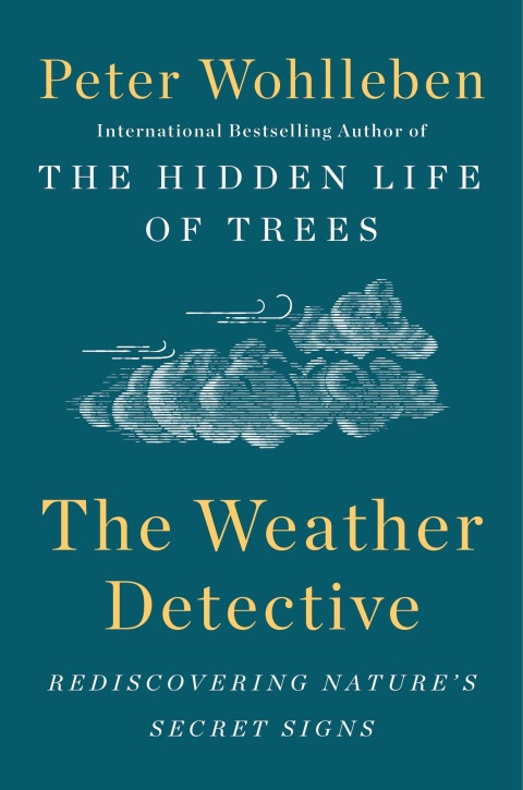 Cover image for book The Weather Detective
