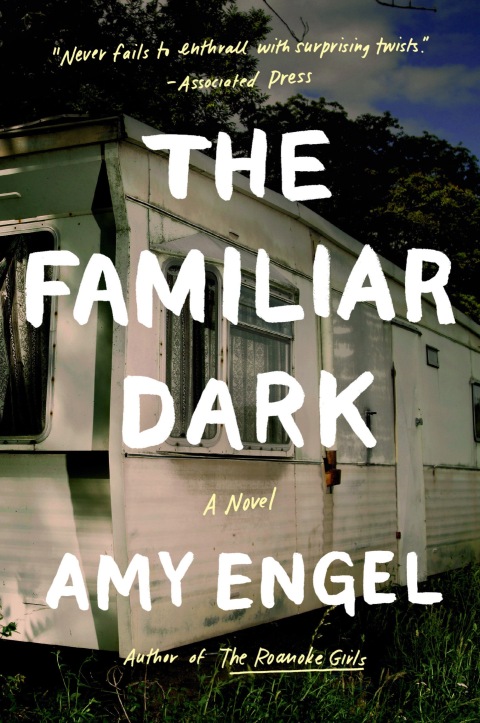 Cover image for book The Familiar Dark