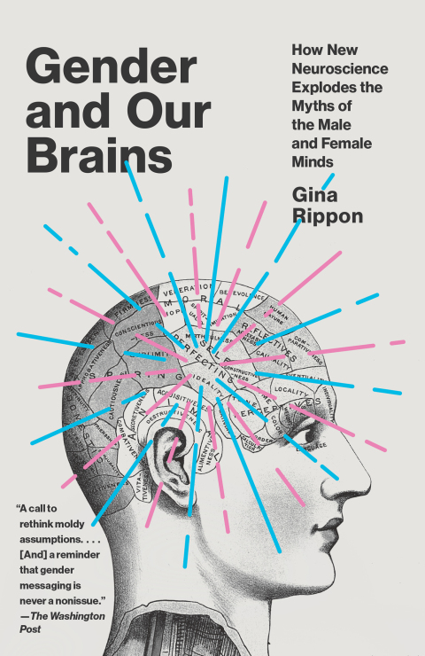 Cover image for book Gender and Our Brains