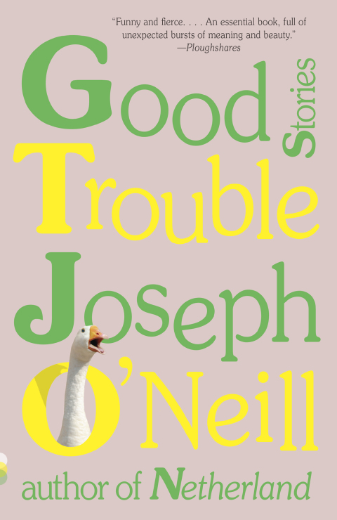 Cover image for book Good Trouble
