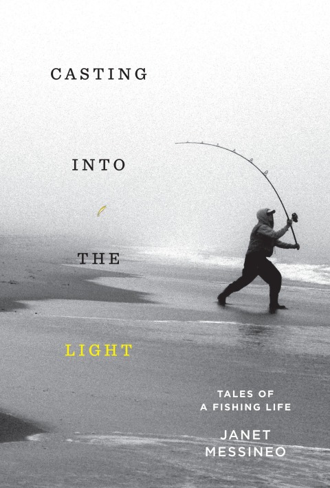 Cover image for book Casting into the Light