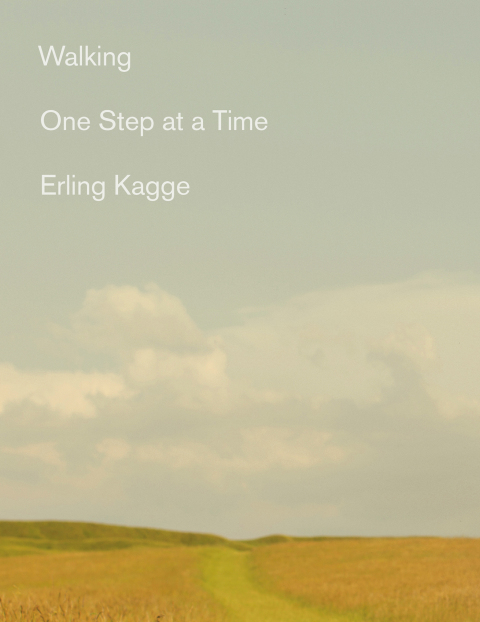 Cover image for book Walking