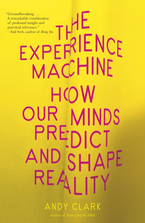 Cover image for book The Experience Machine