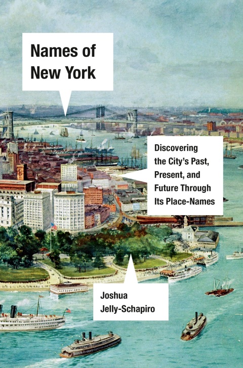 Cover image for book Names of New York