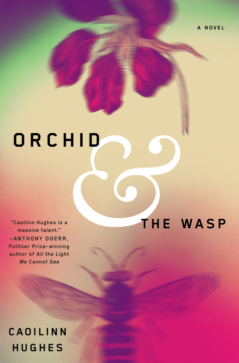 Cover image for book Orchid and the Wasp
