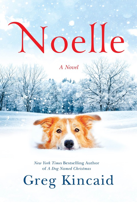 Cover image for book Noelle