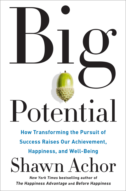 Cover image for book Big Potential
