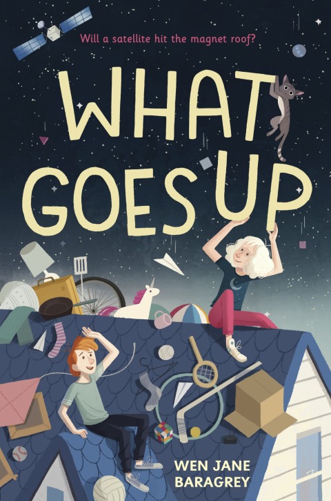 Cover image for book What Goes Up
