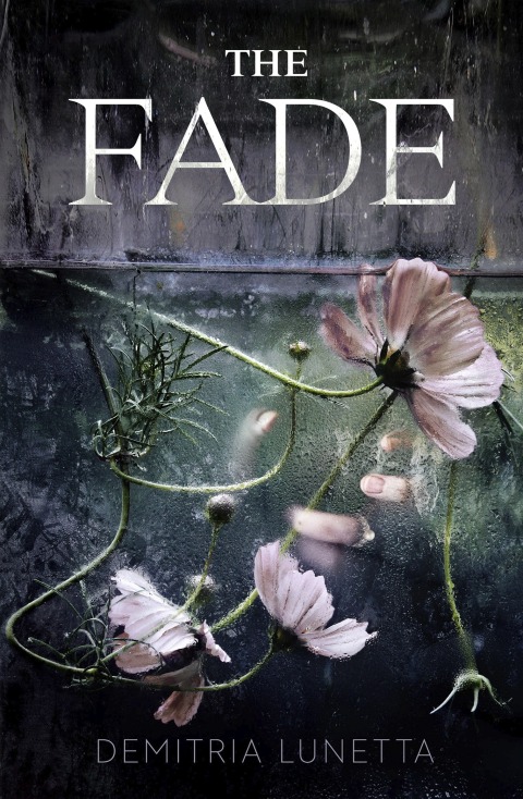 Cover image for book The Fade