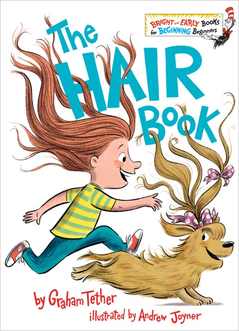 Cover image for book The Hair Book