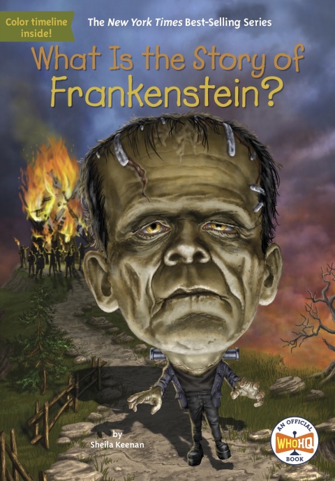 Cover image for book What Is the Story of Frankenstein?