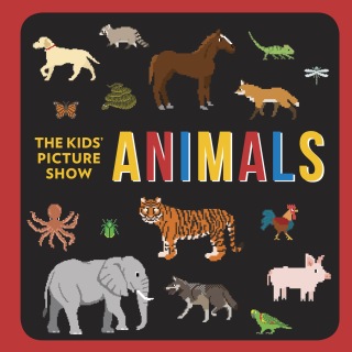 Animals