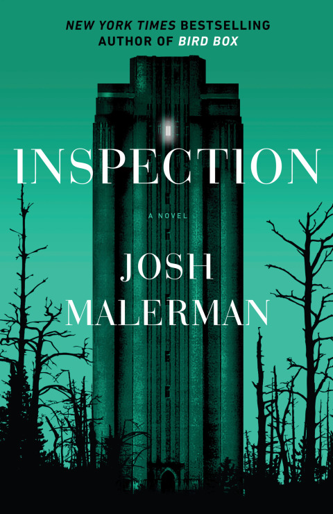 Cover image for book Inspection