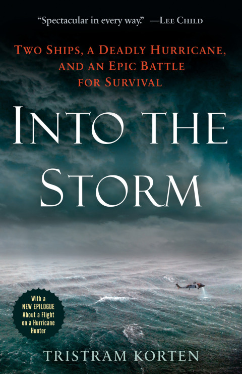 Cover image for book Into the Storm