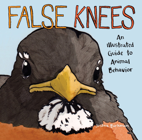 Cover image for book False Knees