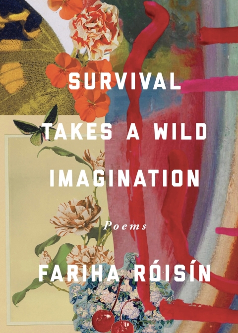 Cover image for book Survival Takes a Wild Imagination