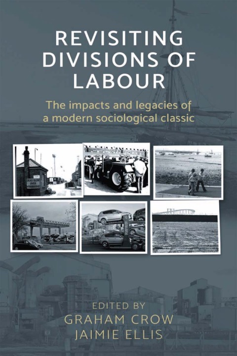 Cover image for book Revisiting <i> Divisions of Labour </i>