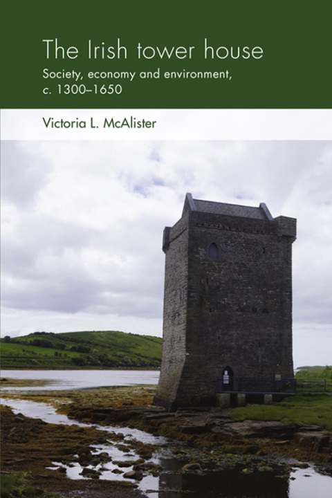 Cover image for book The Irish tower house