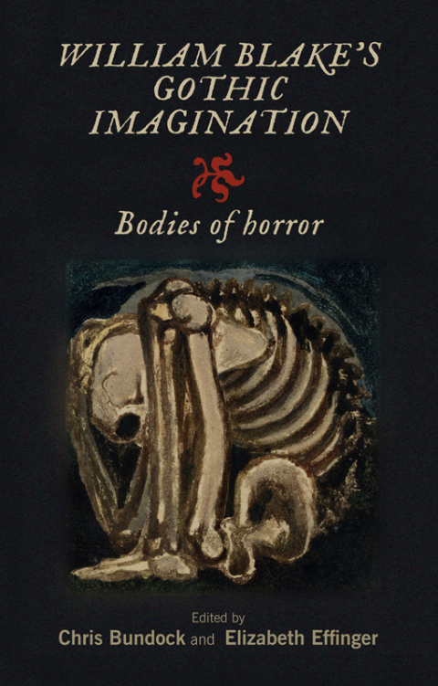 Cover image for book William Blake's Gothic imagination