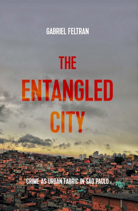 Cover image for book The entangled city