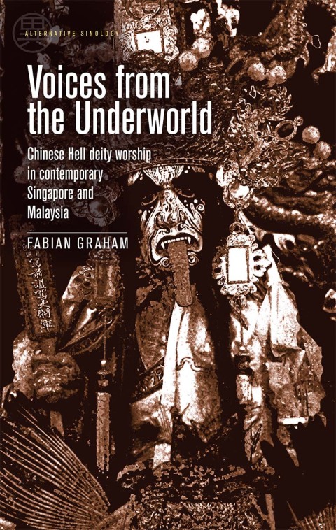 Cover image for book Voices from the Underworld