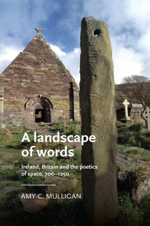 Cover image for book A landscape of words
