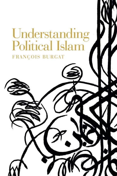 Cover image for book Understanding Political Islam