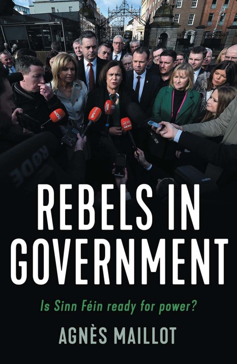 Cover image for book Rebels in government