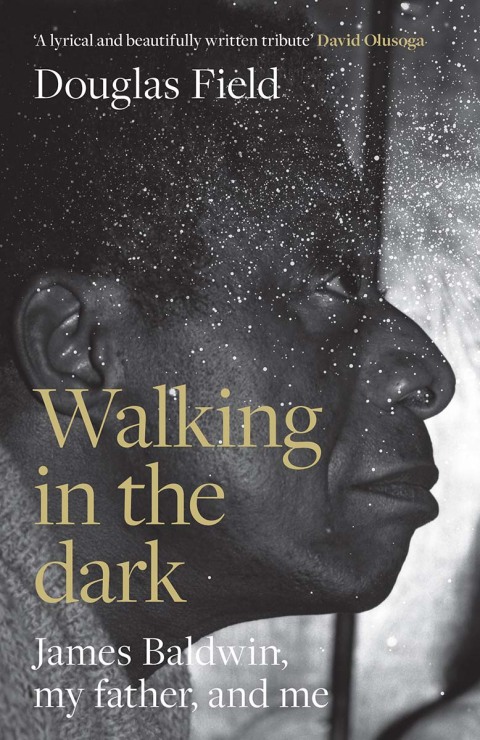 Cover image for book Walking in the dark