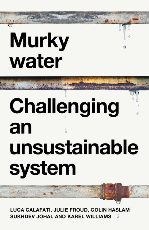 Cover image for book Murky water