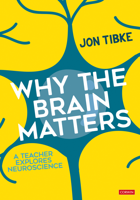 Cover image for book Why The Brain Matters