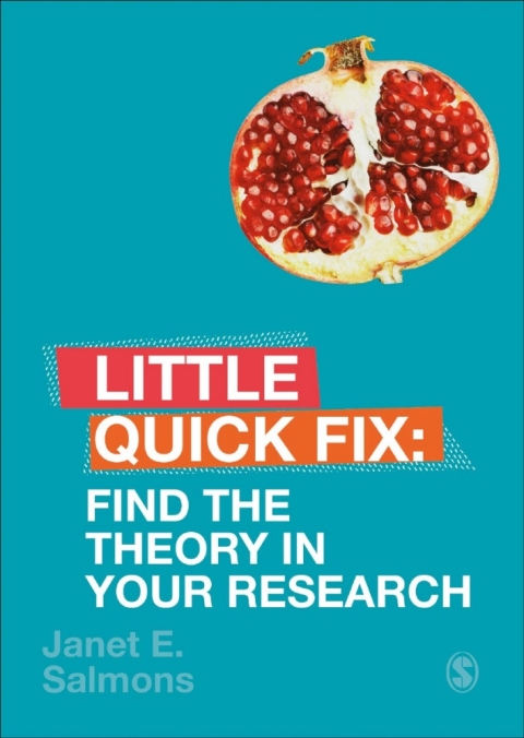 Cover image for book Find the Theory in Your Research