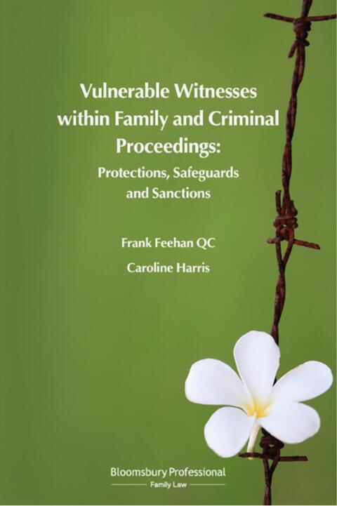 Vulnerable Witnesses within Family and Criminal Proceedings 